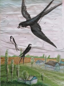 bce0de41-2d0f-470c-8266-5899d6300bc6